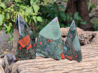Polished Bloodstone Points x 4 From Swaziland