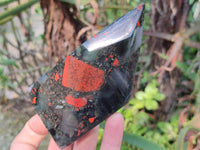 Polished Bloodstone Points x 4 From Swaziland