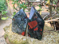 Polished Bloodstone Points x 4 From Swaziland