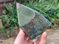 Polished Bloodstone Points x 4 From Swaziland