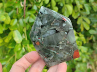 Polished Bloodstone Points x 4 From Swaziland