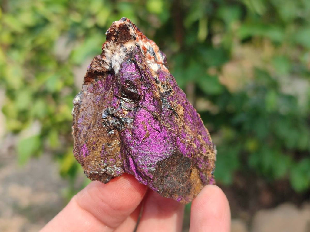 Natural Metallic Purpurite Specimens x 12 From Erongo, Namibia - Toprock Gemstones and Minerals 