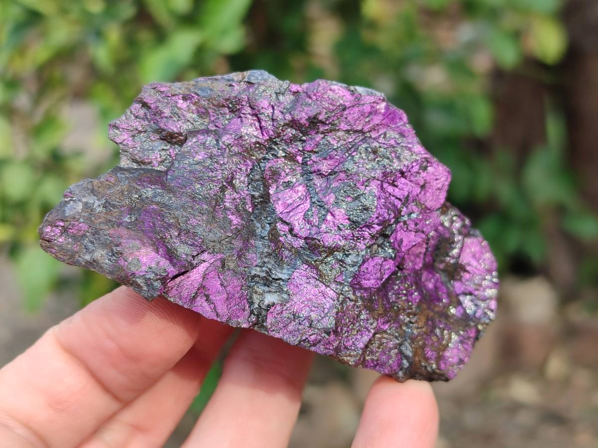 Natural Metallic Purpurite Specimens x 12 From Erongo, Namibia - Toprock Gemstones and Minerals 