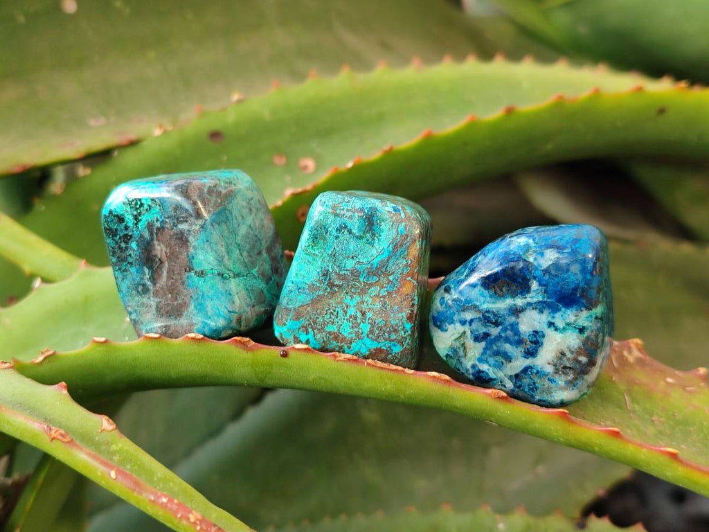 Polished Shattuckite Free Forms x 35 From Congo - Toprock Gemstones and Minerals 