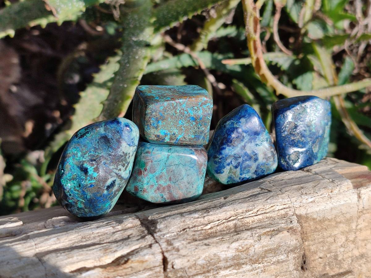 Polished Shattuckite Free Forms x 35 From Congo - Toprock Gemstones and Minerals 