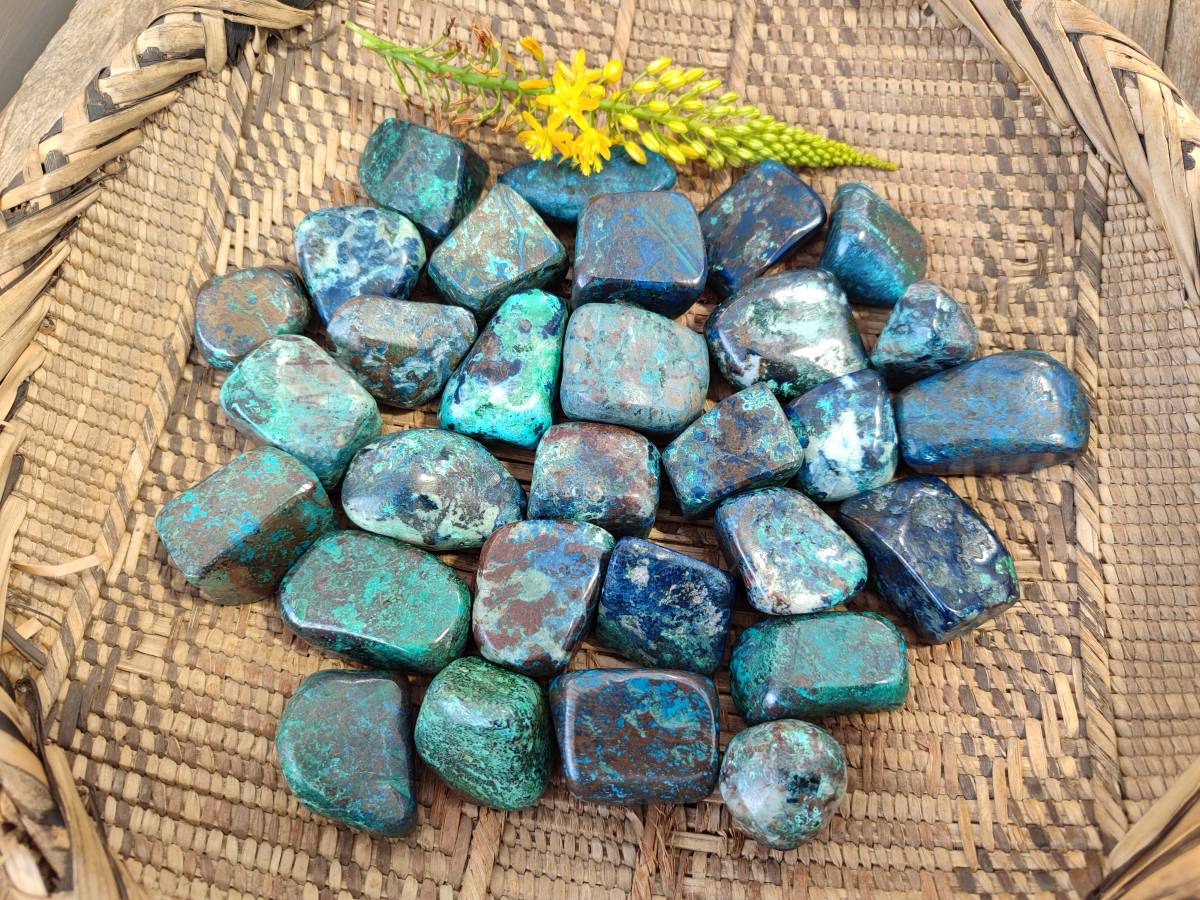 Polished Shattuckite Free Forms x 35 From Congo - Toprock Gemstones and Minerals 