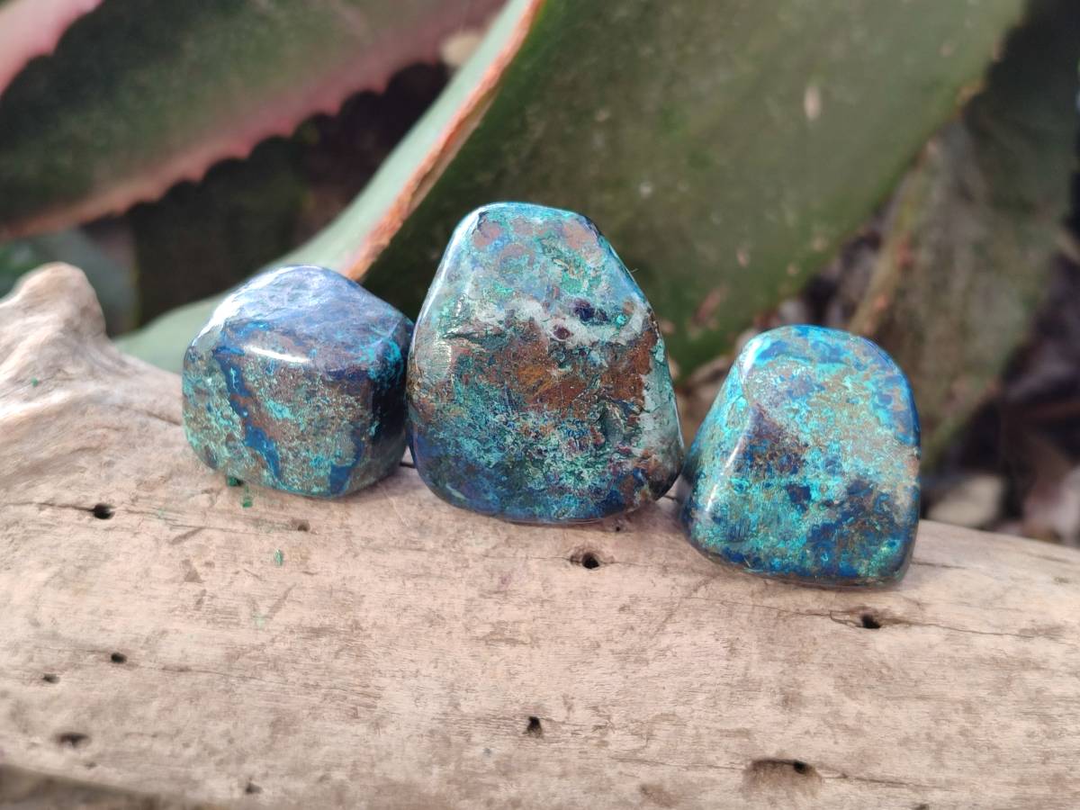 Polished Shattuckite Free Forms x 35 From Congo - Toprock Gemstones and Minerals 