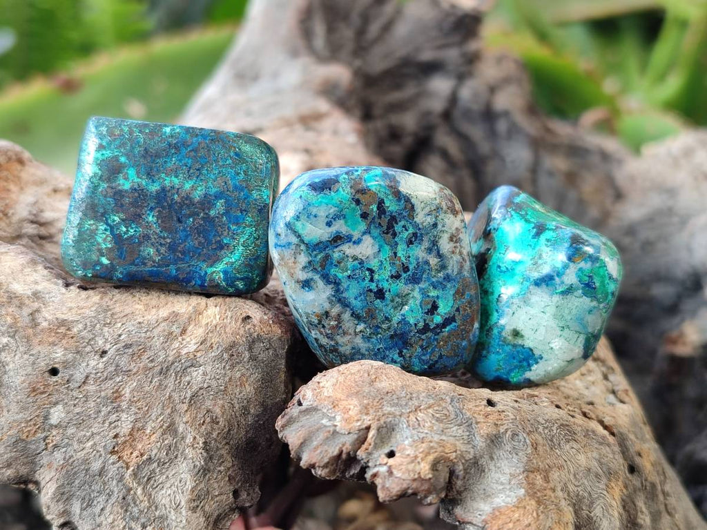 Polished Shattuckite Free Forms x 35 From Congo - Toprock Gemstones and Minerals 