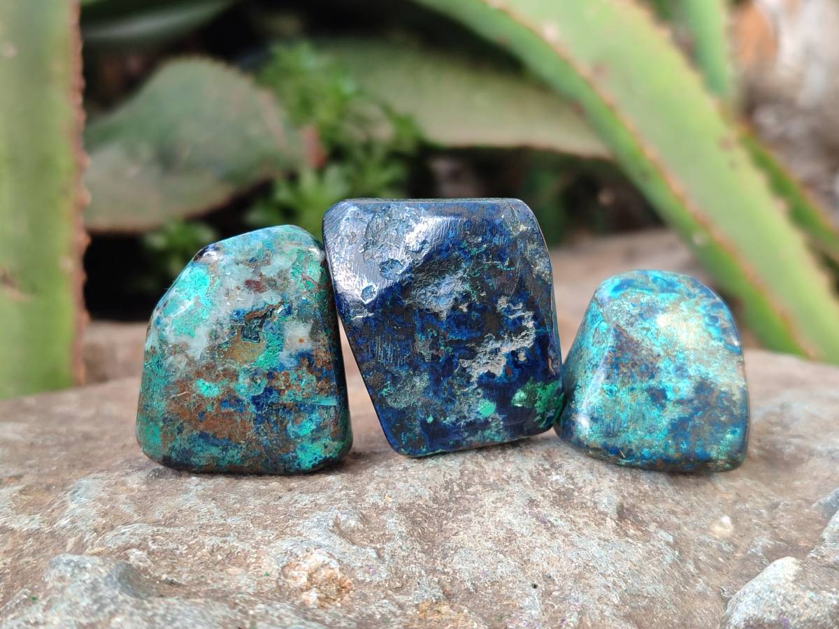 Polished Shattuckite Free Forms x 35 From Congo - Toprock Gemstones and Minerals 