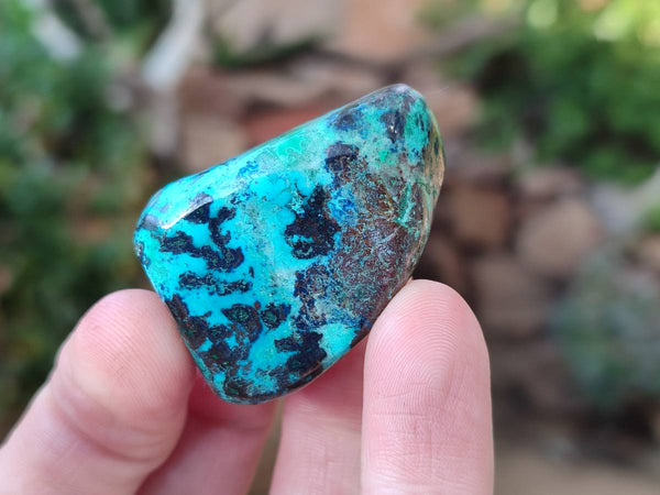 Polished Shattuckite Free Forms x 35 From Congo