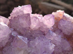 Natural Amethyst Spirit Quartz Cluster x 1 From South Africa - Toprock Gemstones and Minerals 