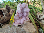 Natural Amethyst Spirit Quartz Cluster x 1 From South Africa - Toprock Gemstones and Minerals 