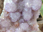 Natural Amethyst Spirit Quartz Cluster x 1 From South Africa - Toprock Gemstones and Minerals 