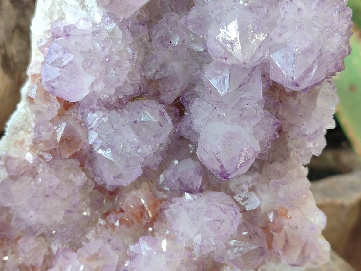 Natural Amethyst Spirit Quartz Cluster x 1 From South Africa - Toprock Gemstones and Minerals 