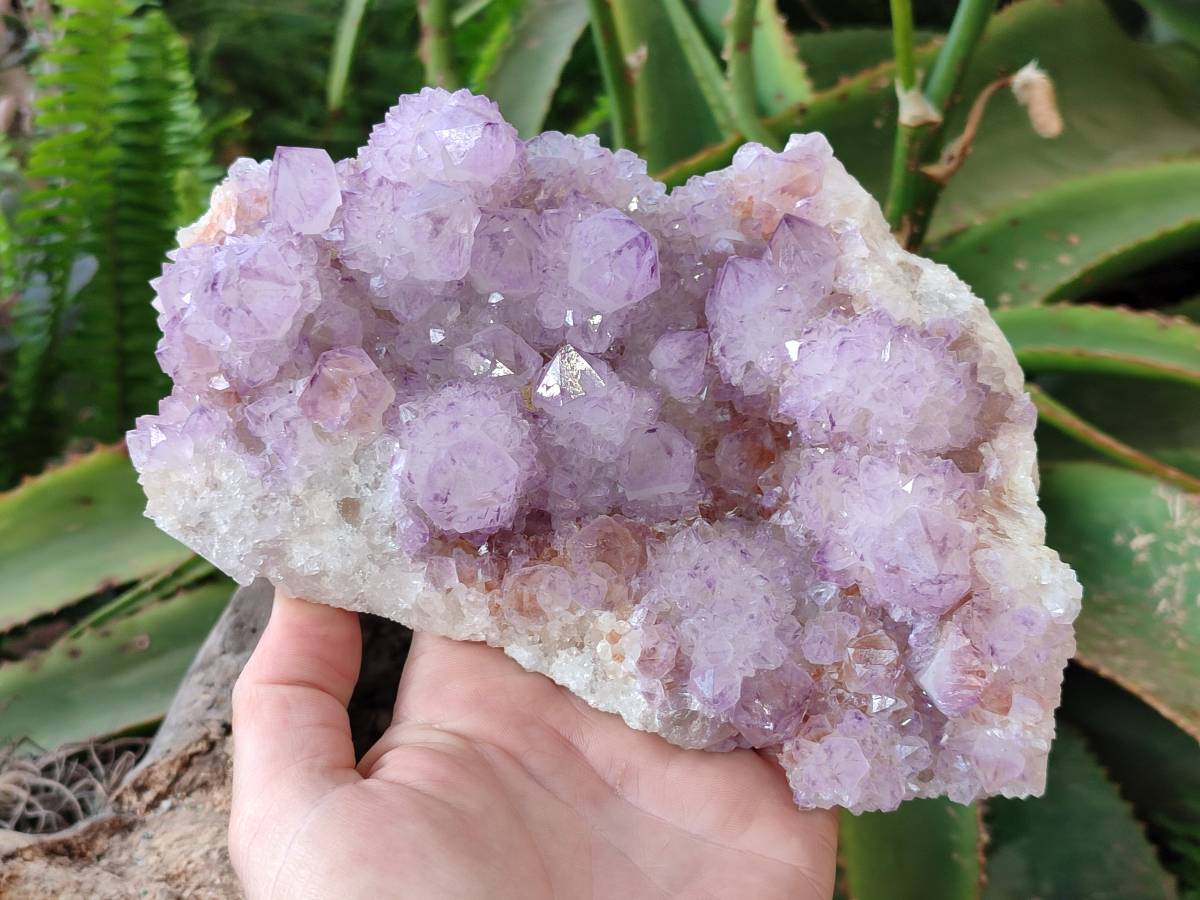Natural Amethyst Spirit Quartz Cluster x 1 From South Africa - Toprock Gemstones and Minerals 