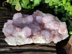 Natural Amethyst Spirit Quartz Cluster x 1 From South Africa - Toprock Gemstones and Minerals 