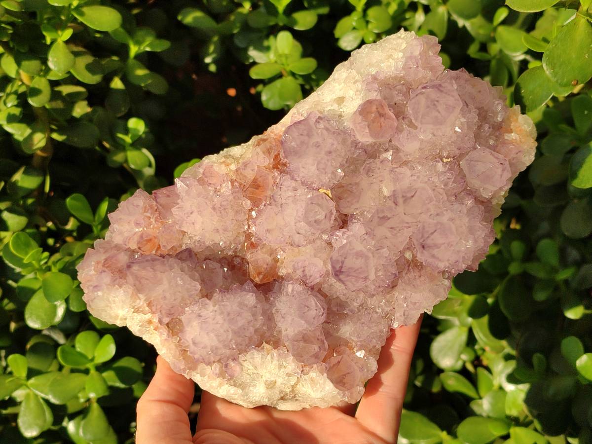 Natural Amethyst Spirit Quartz Cluster x 1 From South Africa - Toprock Gemstones and Minerals 