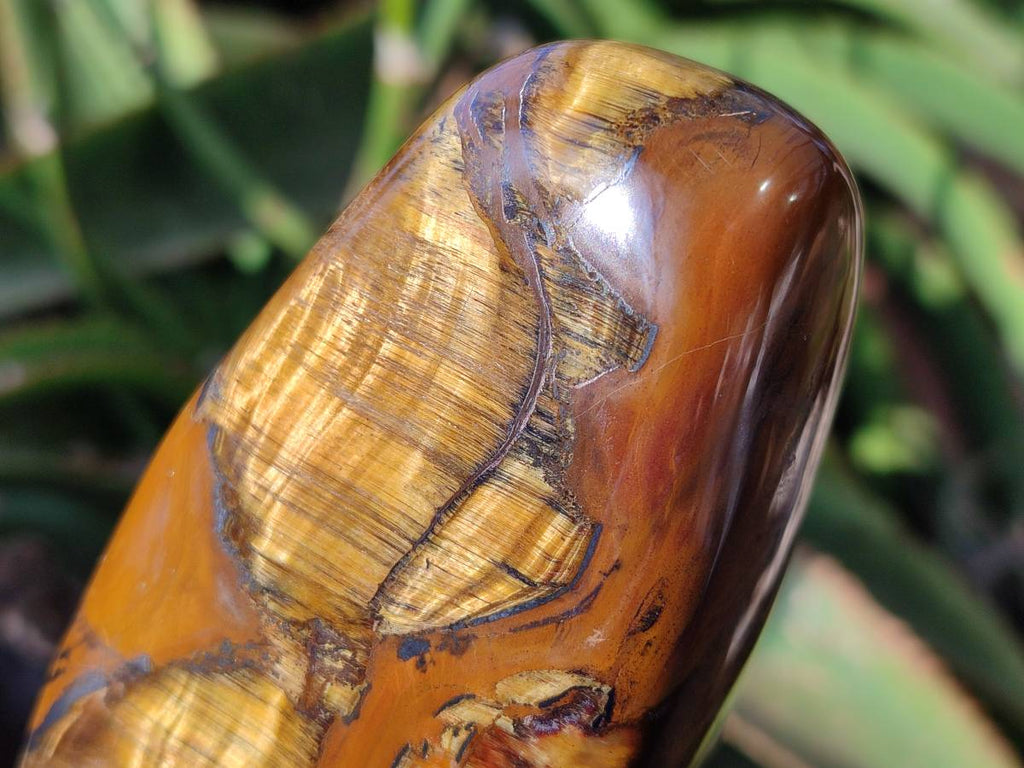 Polished Tigers Eye Standing Free Forms x 4 From South Africa - Toprock Gemstones and Minerals 