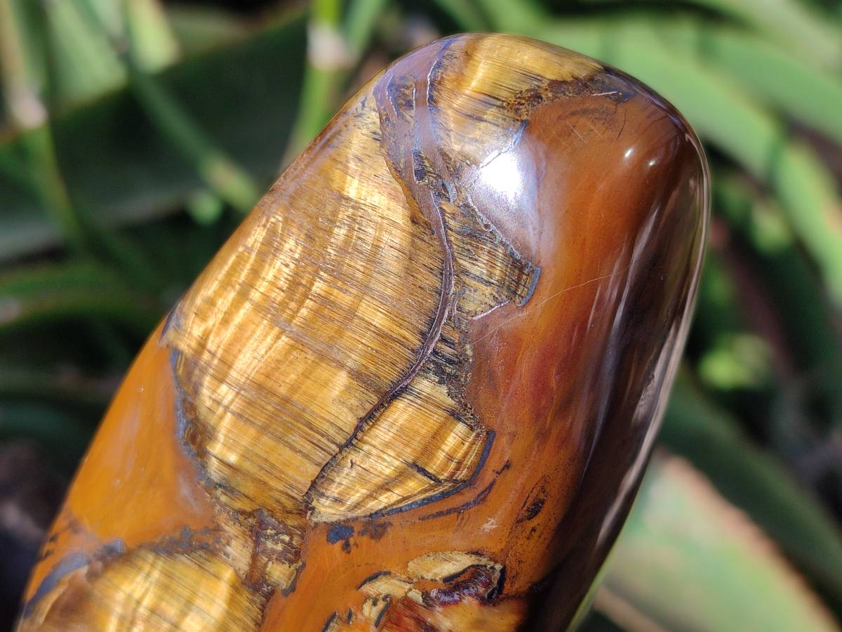 Polished Tigers Eye Standing Free Forms x 4 From South Africa - Toprock Gemstones and Minerals 