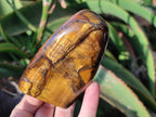 Polished Tigers Eye Standing Free Forms x 4 From South Africa - Toprock Gemstones and Minerals 
