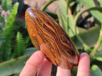 Polished Tigers Eye Standing Free Forms x 4 From South Africa - Toprock Gemstones and Minerals 