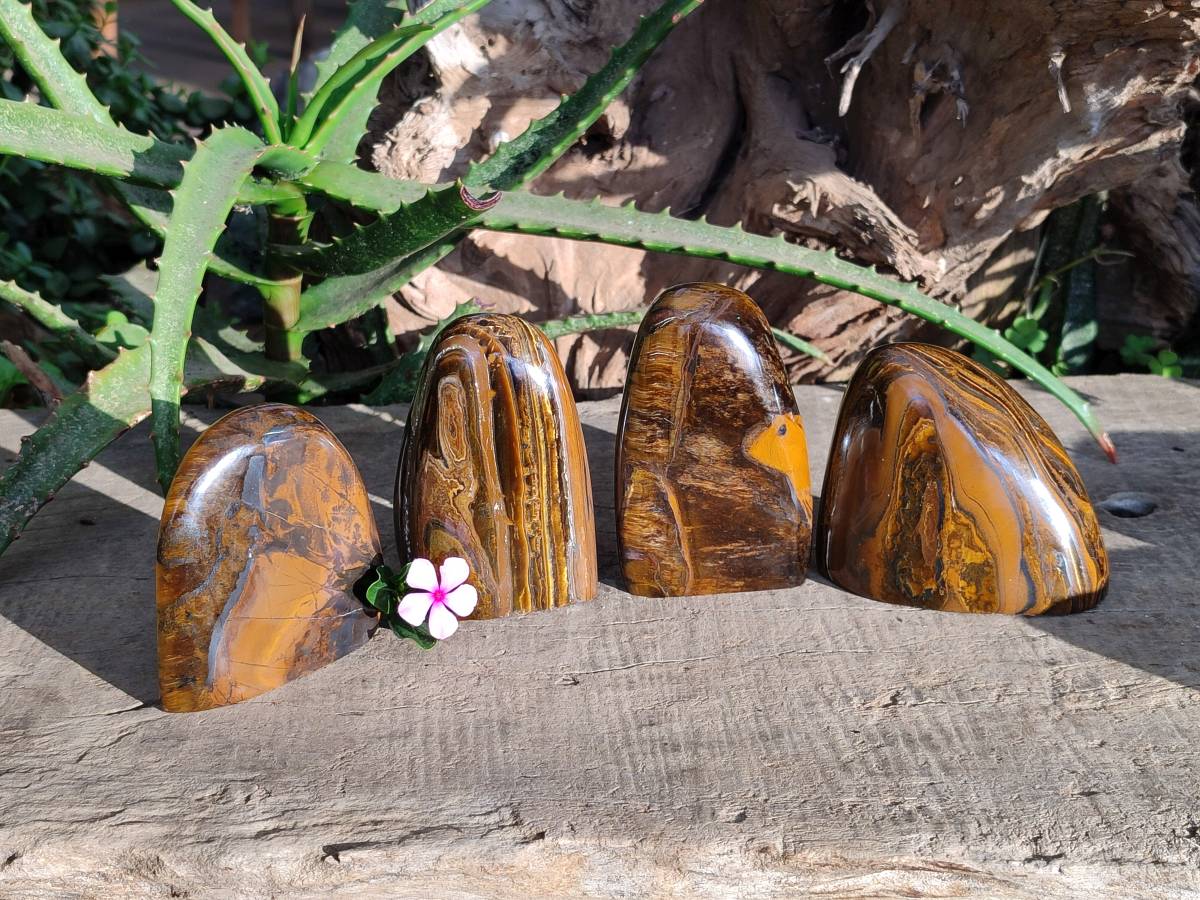 Polished Tigers Eye Standing Free Forms x 4 From South Africa - Toprock Gemstones and Minerals 