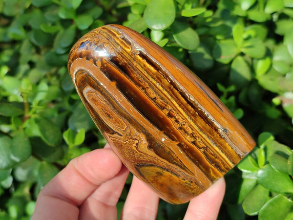 Polished Tigers Eye Standing Free Forms x 4 From South Africa