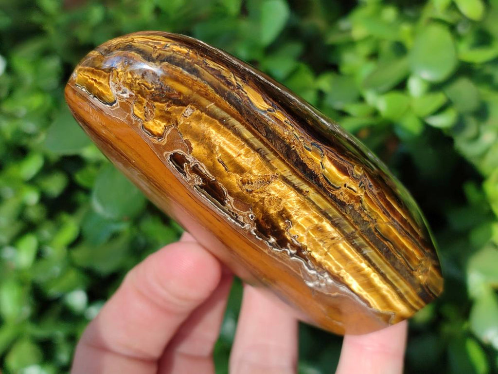 Polished Tigers Eye Standing Free Forms x 4 From South Africa - Toprock Gemstones and Minerals 