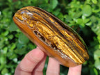 Polished Tigers Eye Standing Free Forms x 4 From South Africa - Toprock Gemstones and Minerals 