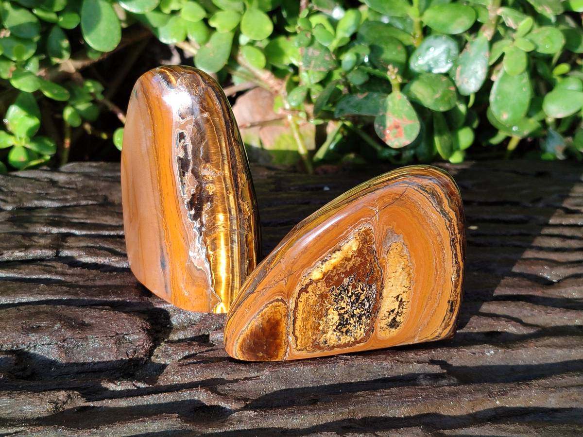 Polished Tigers Eye Standing Free Forms x 4 From South Africa - Toprock Gemstones and Minerals 