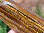 Polished Tigers Eye Standing Free Forms x 4 From South Africa - Toprock Gemstones and Minerals 
