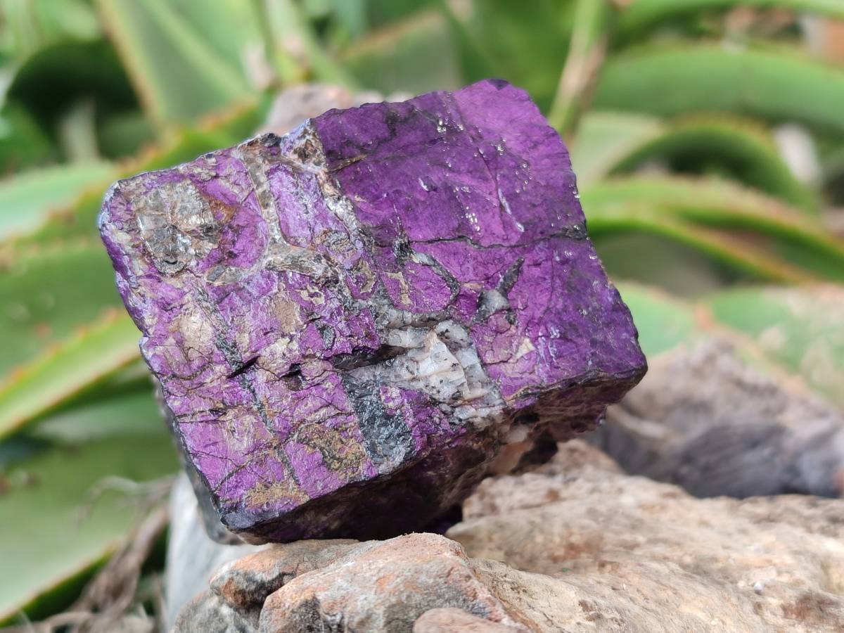 Natural Metallic Purpurite Specimens x 6 From Erongo, Namibia - Toprock Gemstones and Minerals 