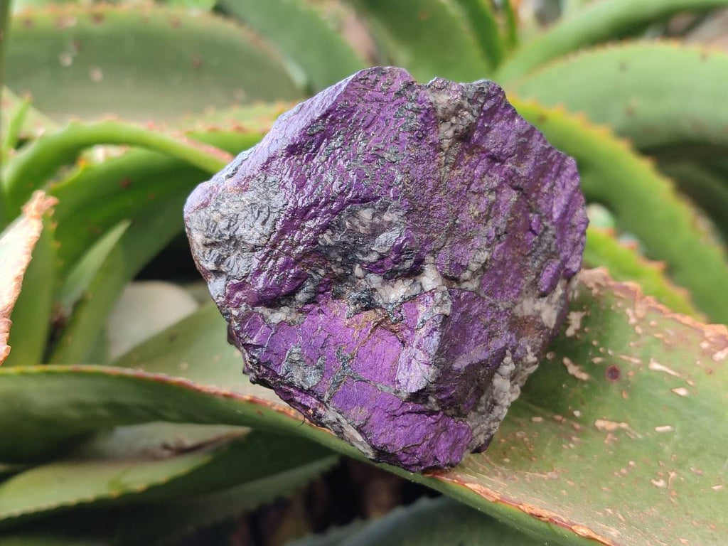 Natural Metallic Purpurite Specimens x 6 From Erongo, Namibia - Toprock Gemstones and Minerals 