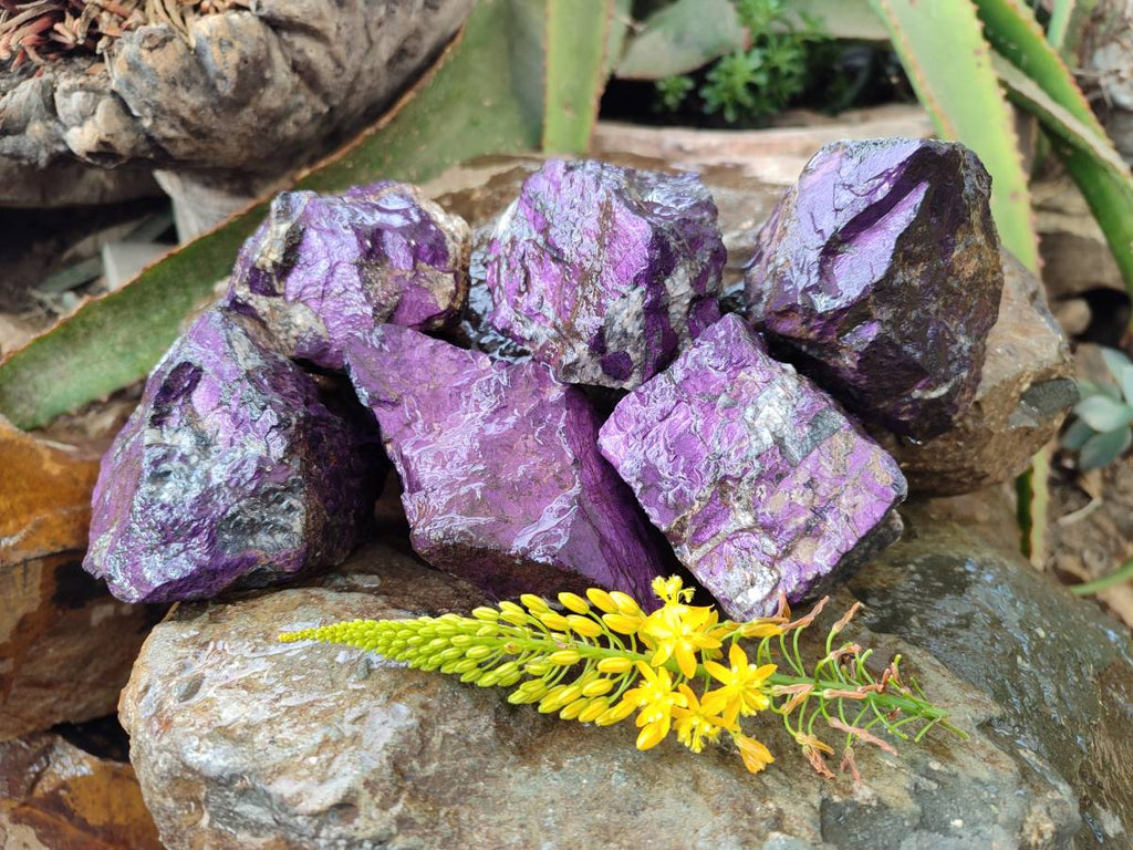 Natural Metallic Purpurite Specimens x 6 From Erongo, Namibia - Toprock Gemstones and Minerals 