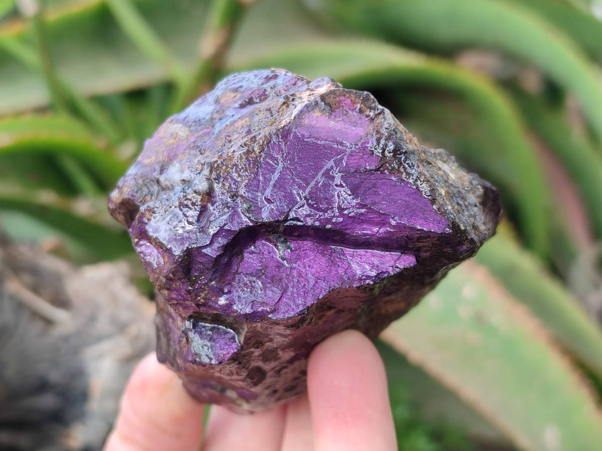 Natural Metallic Purpurite Specimens x 6 From Erongo, Namibia - Toprock Gemstones and Minerals 