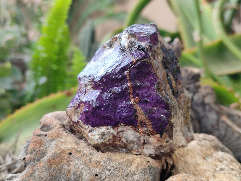 Natural Metallic Purpurite Specimens x 6 From Erongo, Namibia - Toprock Gemstones and Minerals 