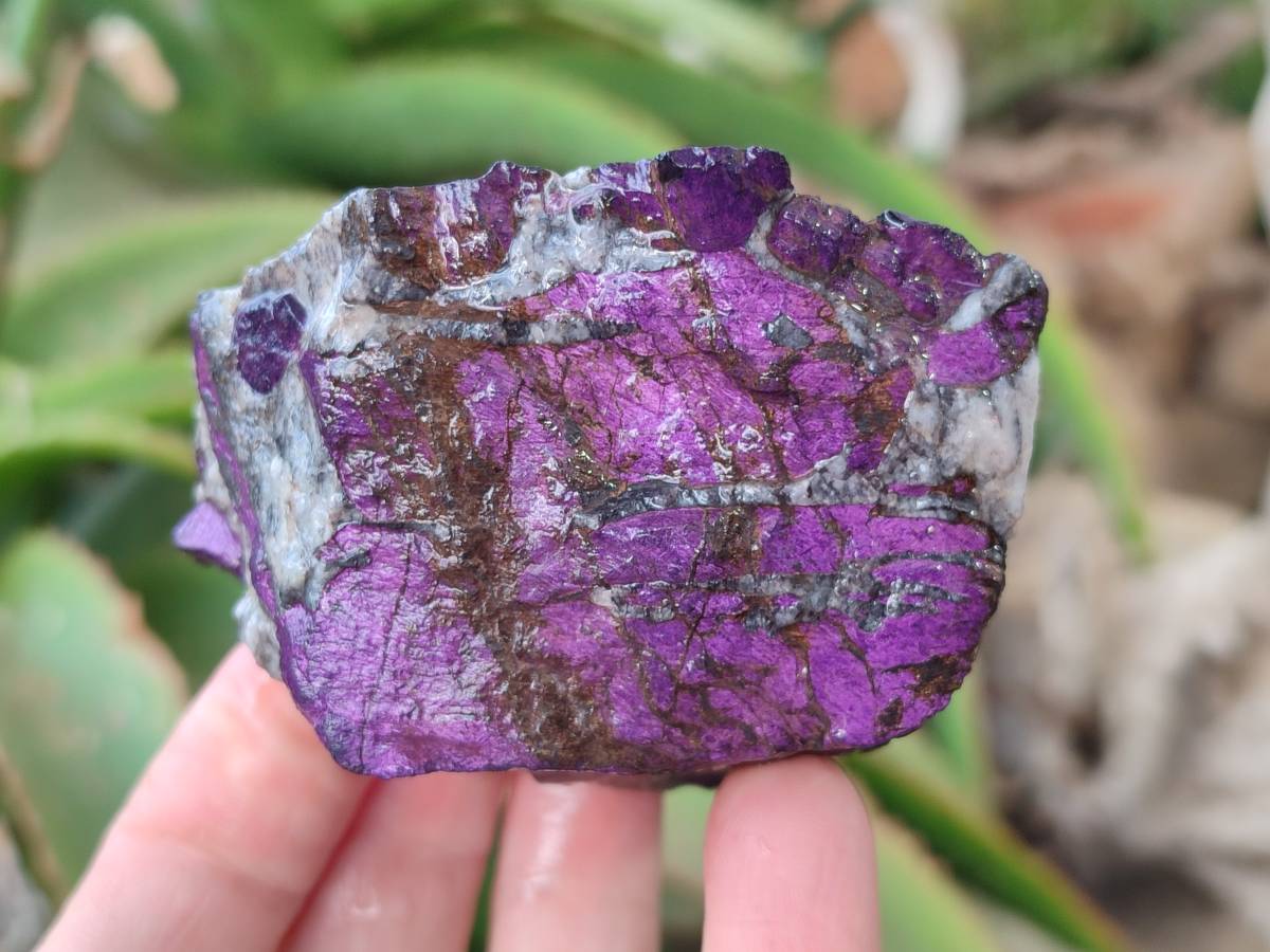 Natural Metallic Purpurite Specimens x 6 From Erongo, Namibia - Toprock Gemstones and Minerals 
