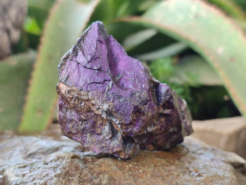 Natural Metallic Purpurite Specimens x 6 From Erongo, Namibia - Toprock Gemstones and Minerals 