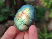 Polished Labradorite Palm Stones x 24 From Tulear, Madagascar - Toprock Gemstones and Minerals 