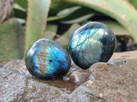 Polished Labradorite Palm Stones x 24 From Tulear, Madagascar - Toprock Gemstones and Minerals 