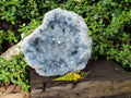 Natural Celestite Geode Specimen x 1 From Sakoany, Madagascar - Toprock Gemstones and Minerals 