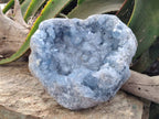 Natural Celestite Geode Specimen x 1 From Sakoany, Madagascar - Toprock Gemstones and Minerals 