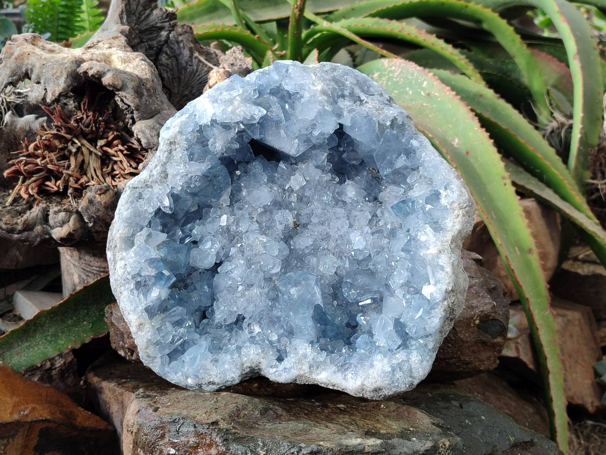 Natural Celestite Geode Specimen x 1 From Sakoany, Madagascar - Toprock Gemstones and Minerals 