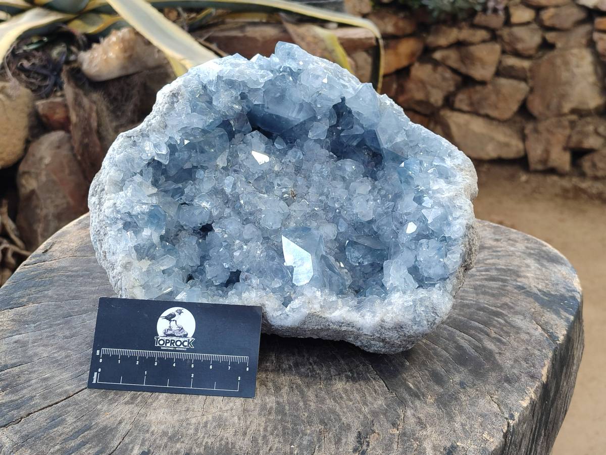 Natural Celestite Geode Specimen x 1 From Sakoany, Madagascar - Toprock Gemstones and Minerals 