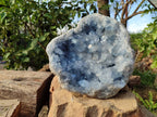 Natural Celestite Geode Specimen x 1 From Sakoany, Madagascar - Toprock Gemstones and Minerals 