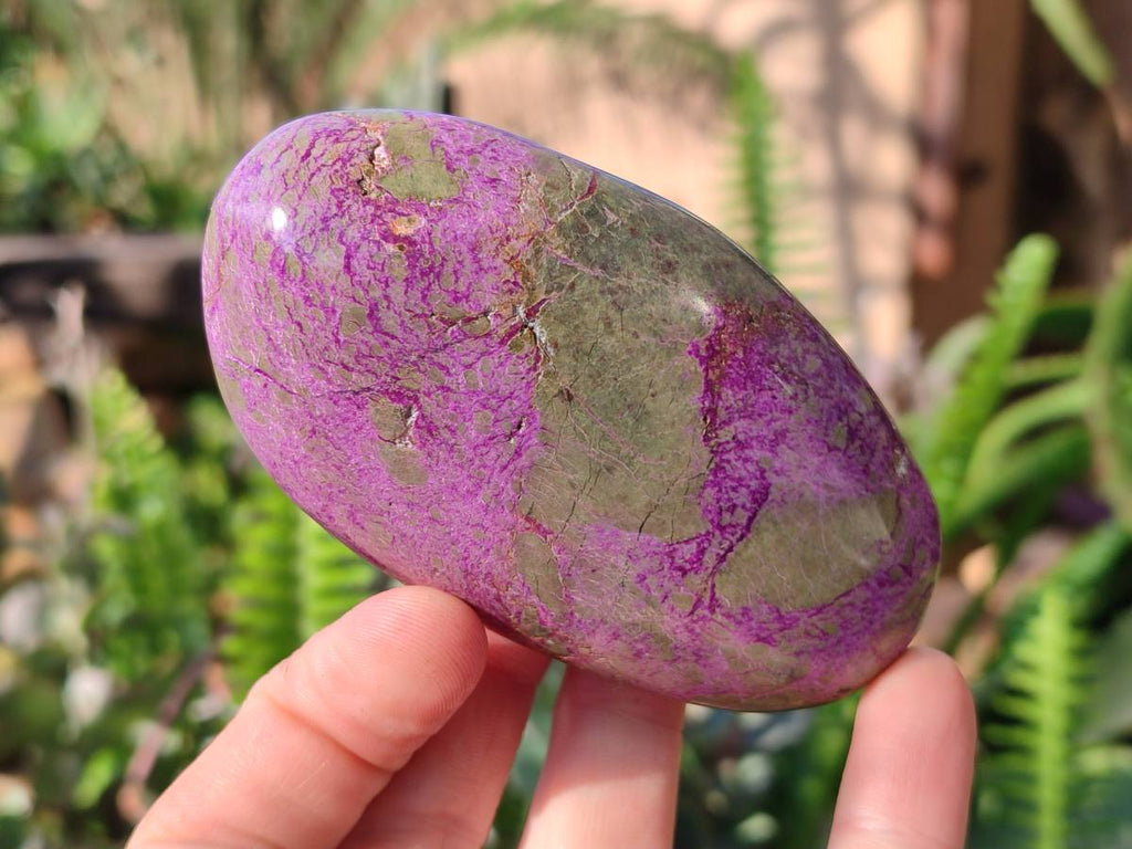 Polished Stichtite Free Forms x 6 From Barberton, South Africa - Toprock Gemstones and Minerals 