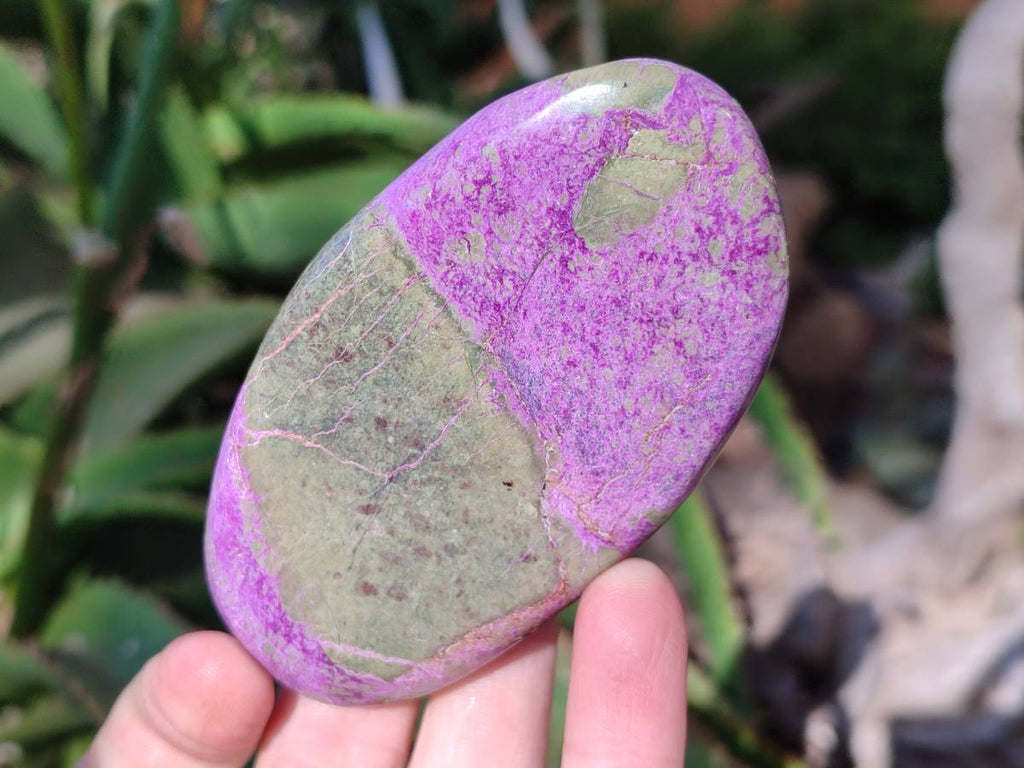 Polished Stichtite Free Forms x 6 From Barberton, South Africa - Toprock Gemstones and Minerals 