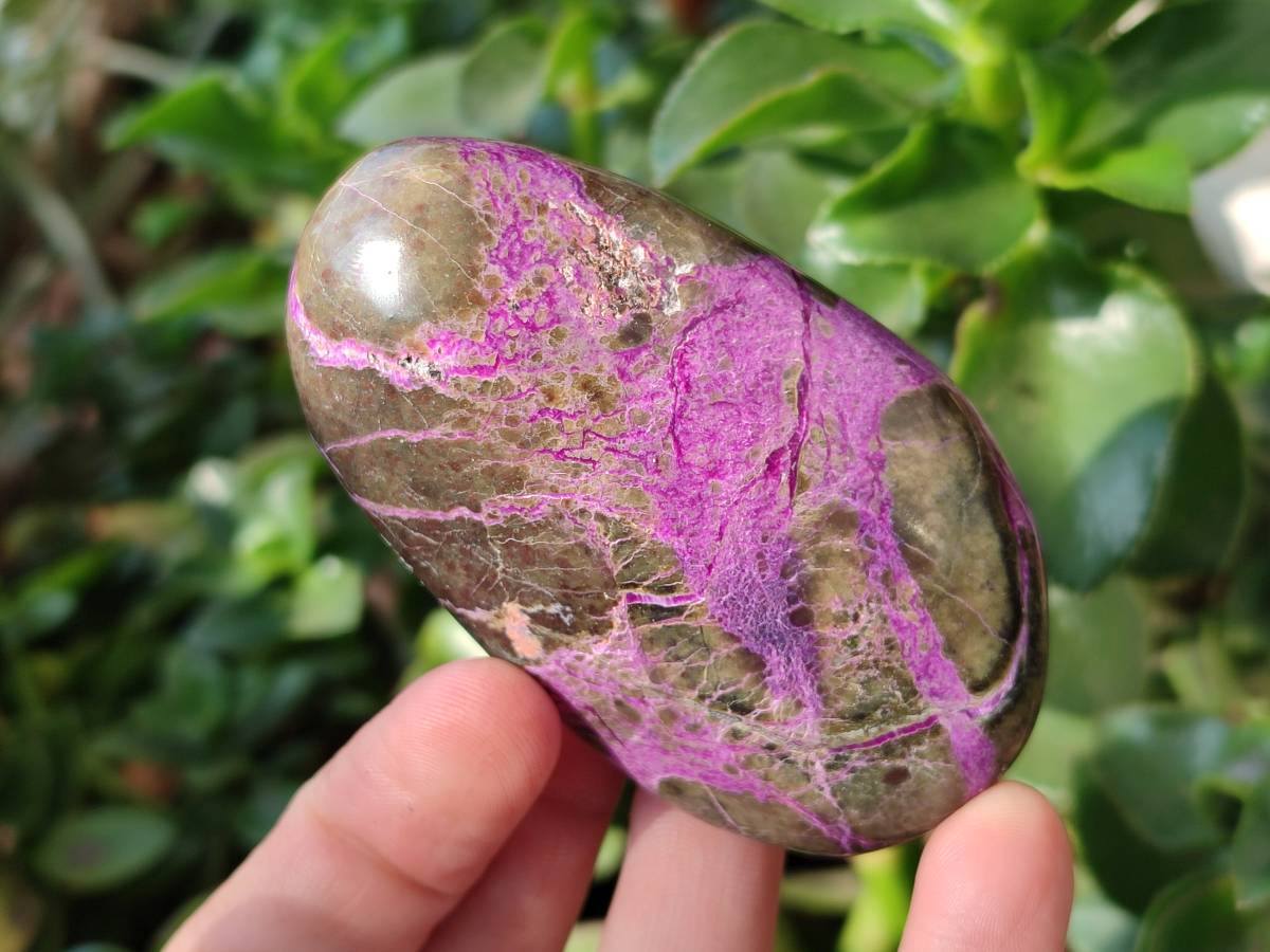 Polished Stichtite Free Forms x 6 From Barberton, South Africa - Toprock Gemstones and Minerals 