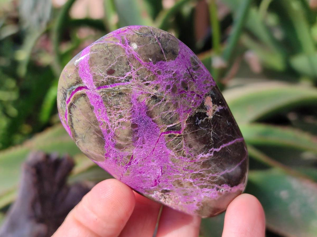 Polished Stichtite Free Forms x 6 From Barberton, South Africa - Toprock Gemstones and Minerals 