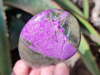 Polished Stichtite Free Forms x 6 From Barberton, South Africa - Toprock Gemstones and Minerals 